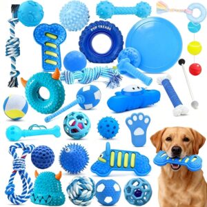 product fancy dcd2c1a0 c550 4577 a6da 1ff7c283b8fb